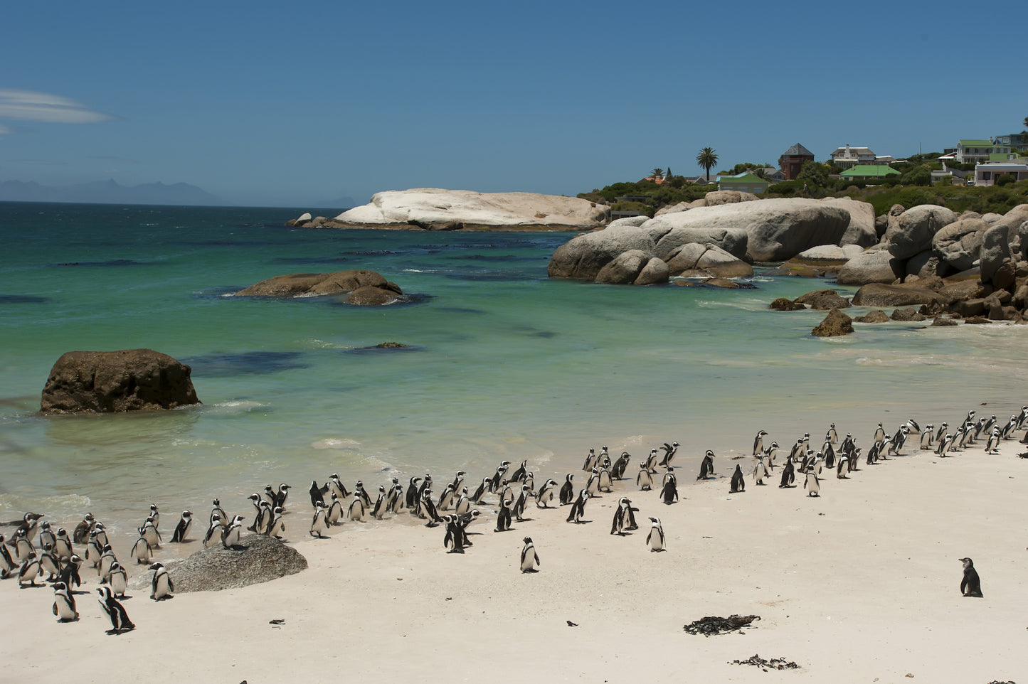 Vic Falls, safari & Cape Town