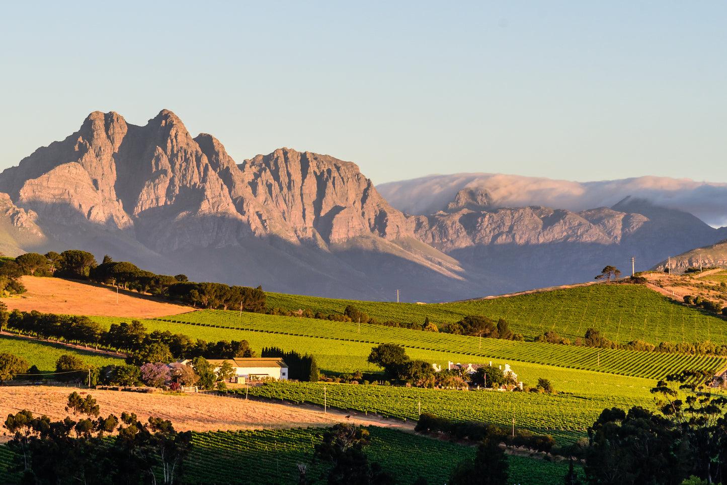 Victoria Falls & Cape Town