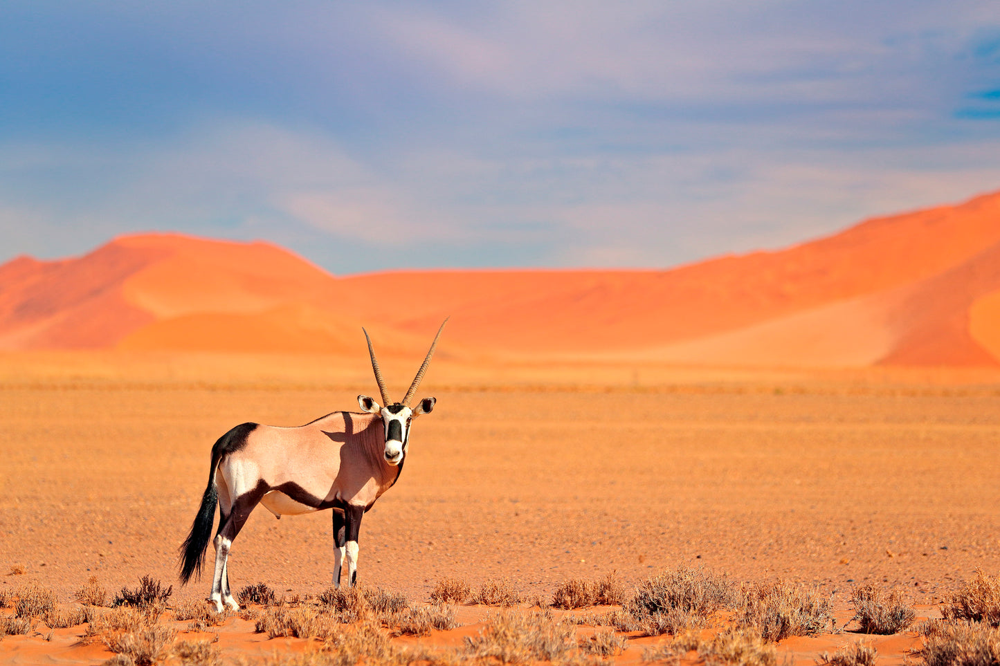 Fra Namibias ørken til Victoria Falls