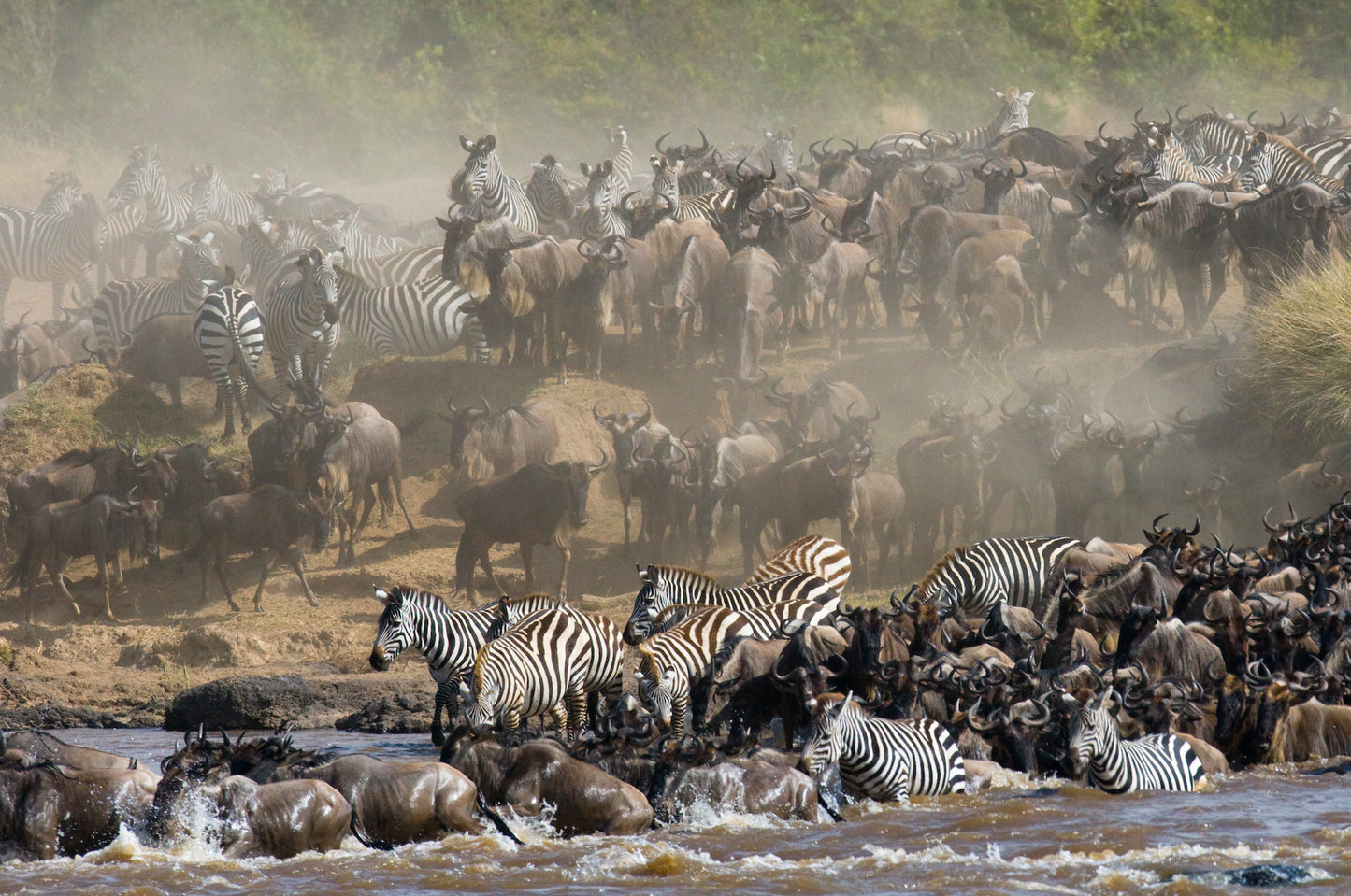 Den store Gnuvandring