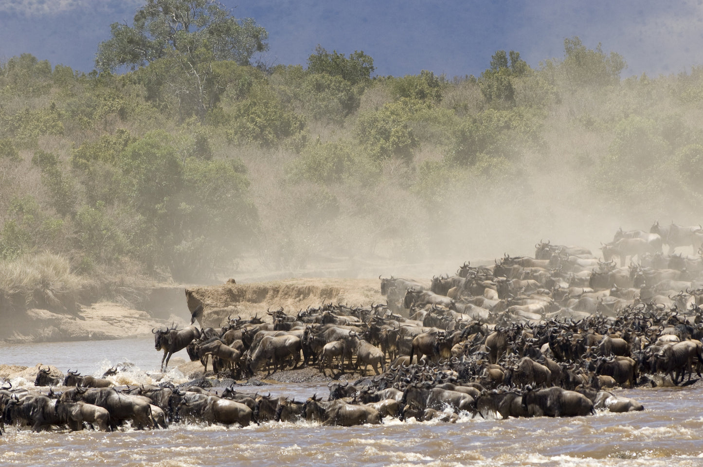 Den store Gnuvandring