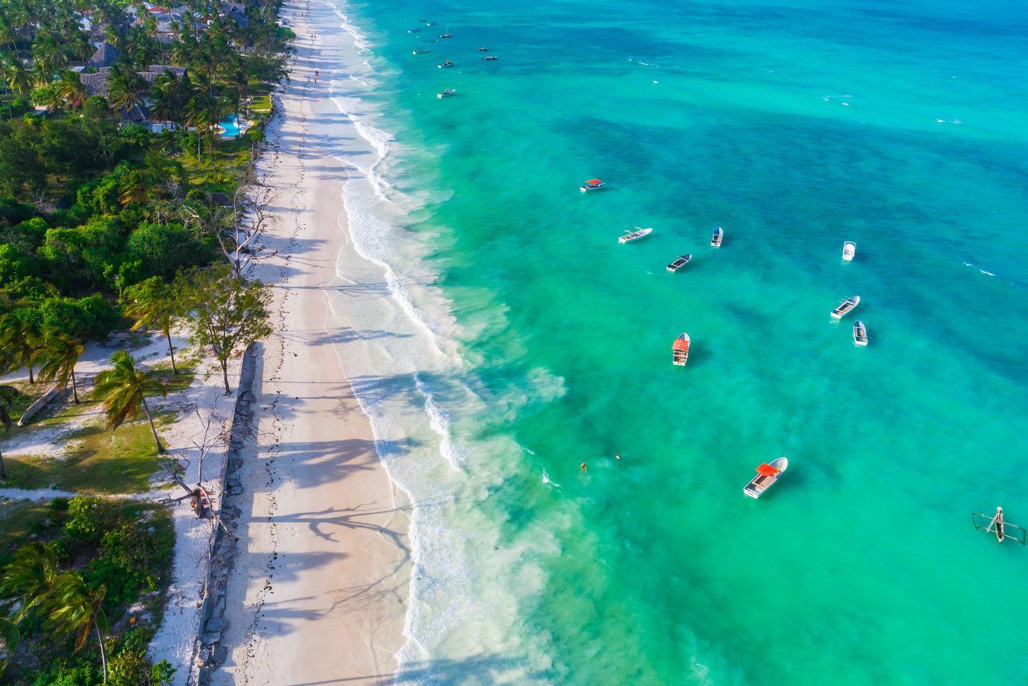 Masai Mara & Zanzibar