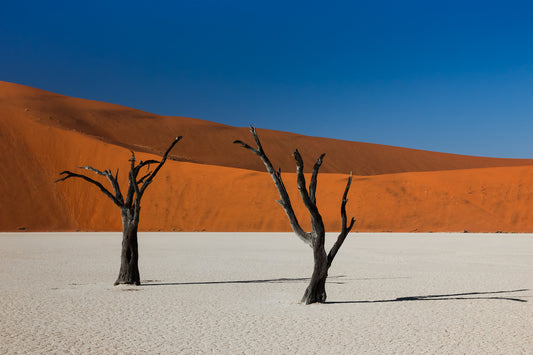 Fra Namibias ørken til Victoria Falls